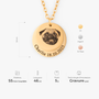 7041JFR1 collier personnalise avec photo chienchat mon animal de compagnie 7041j0l5c_3