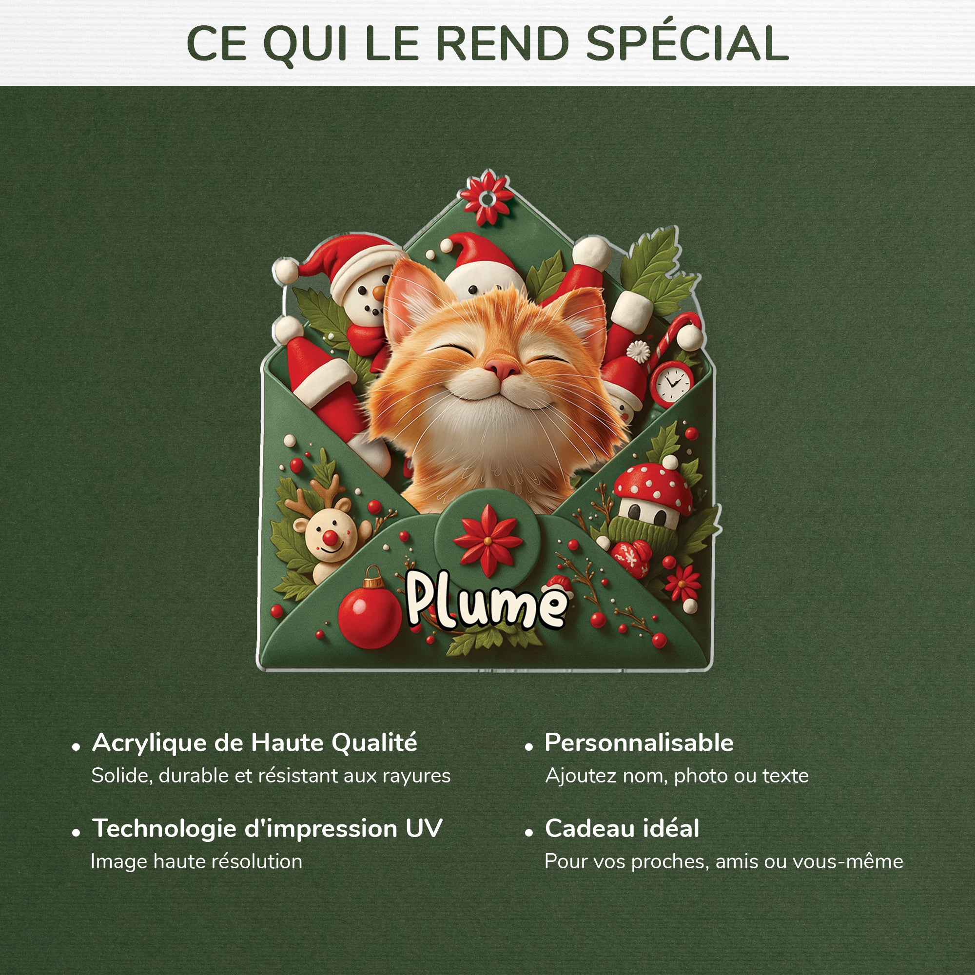 7109OFR4 ornement acrylique personnalise avec photo lettre du pere noel avec mon chat 7109otmnd
