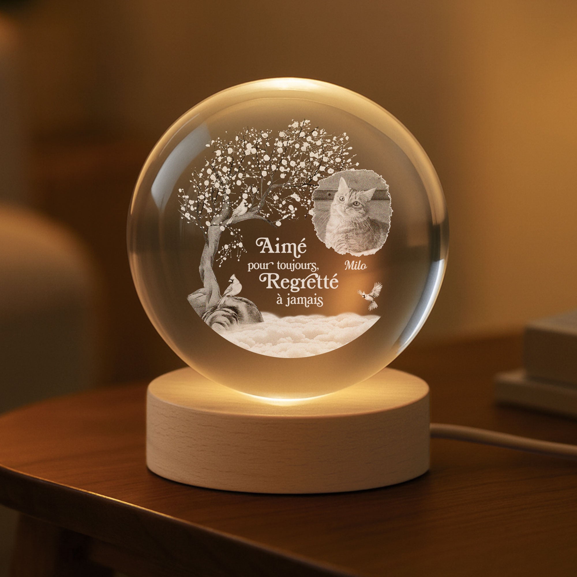 7407LFR2 veilleuse boule de cristal personnalisee avec photo commemorative chienchat aime pour toujours 7407l3tac