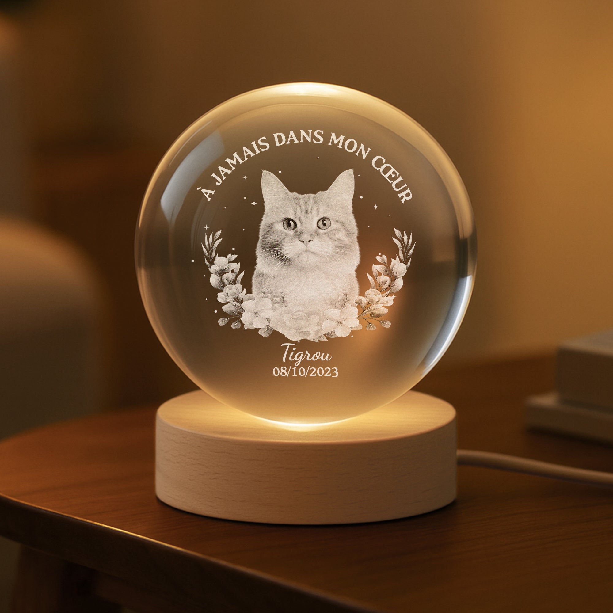 7422LFR2 veilleuse boule de cristal personnalisee avec photo commemorative de chienchat toujours avec toi 7422l3qwc
