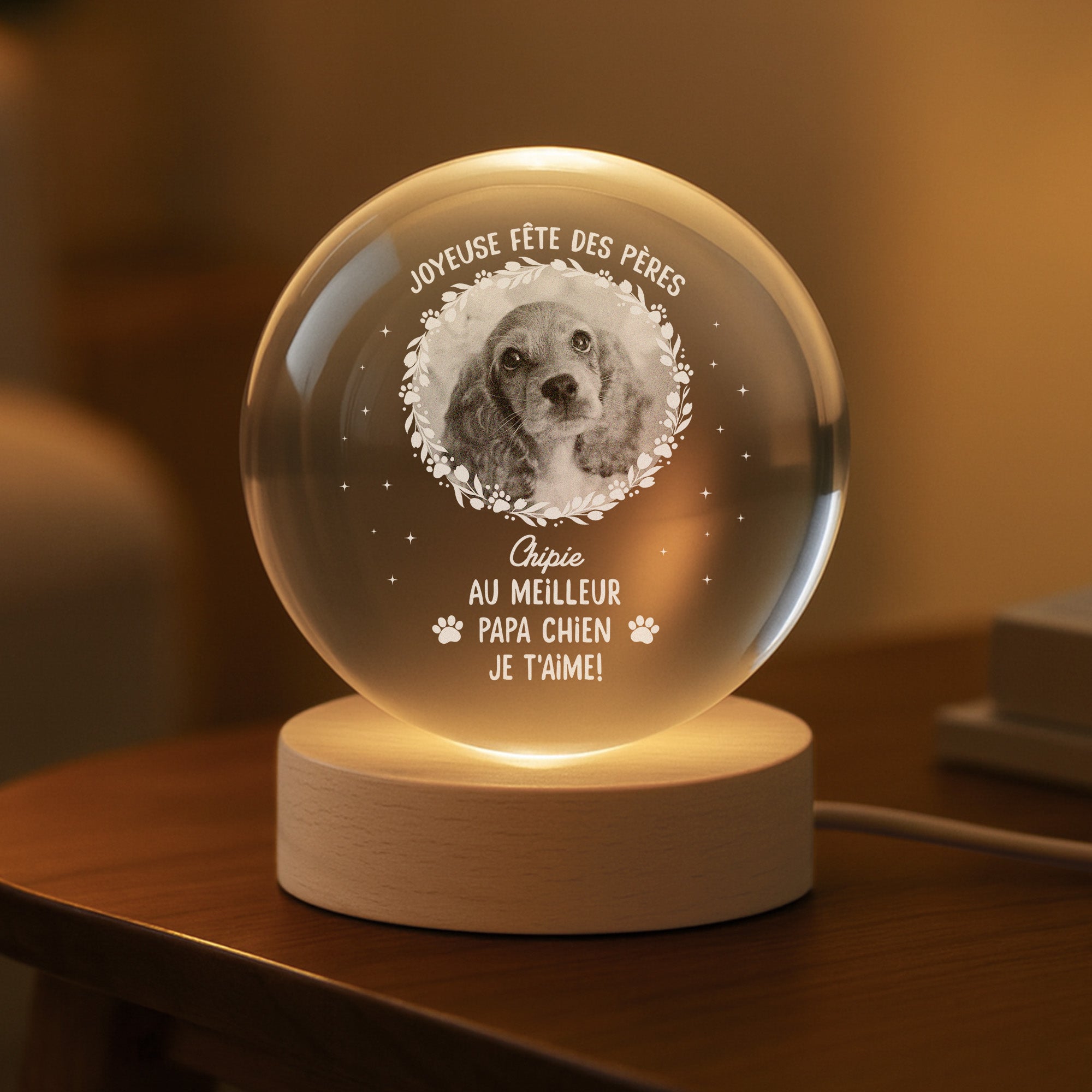 7653LFR2 veilleuse boule de cristal personnalisee joyeuse fete des meres de chat 7653lcq5d