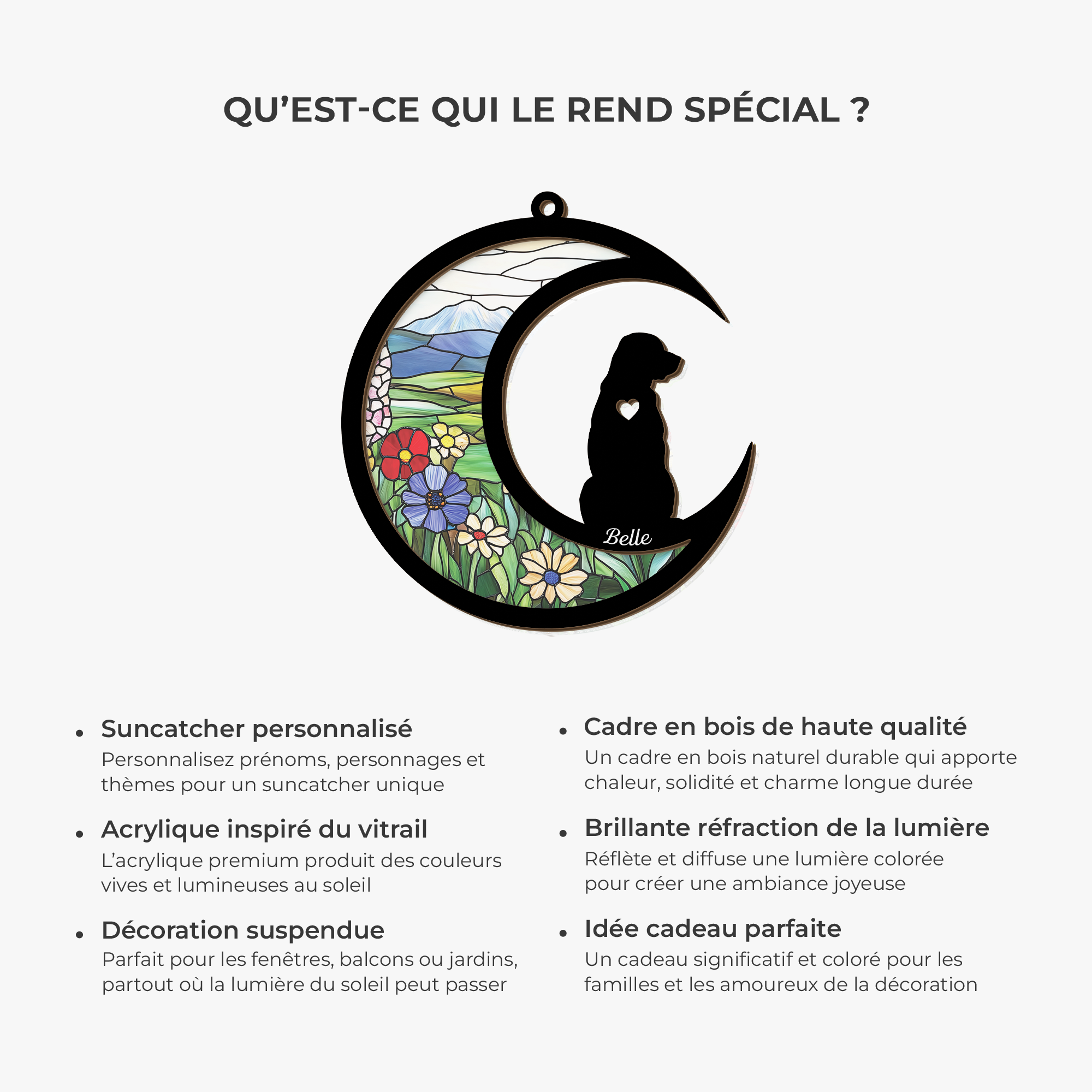 7701UFR5 attrape soleil personnalise en acrylique mon joli chat 7701u6hcd