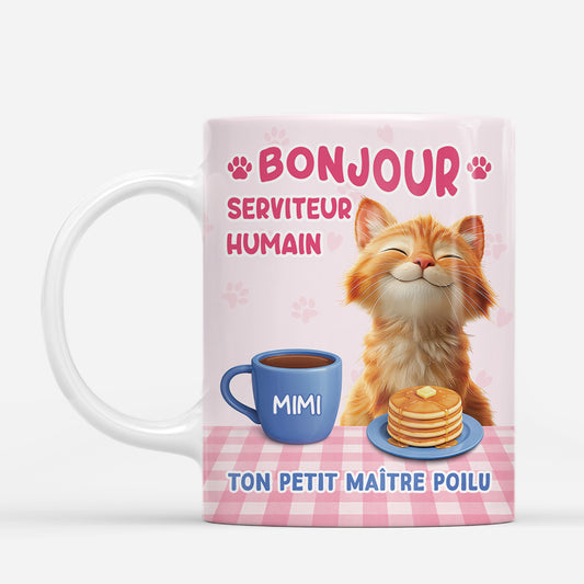 7911MFR1 bonjour serviteur humain mug personnalise chat 7911m6ptd