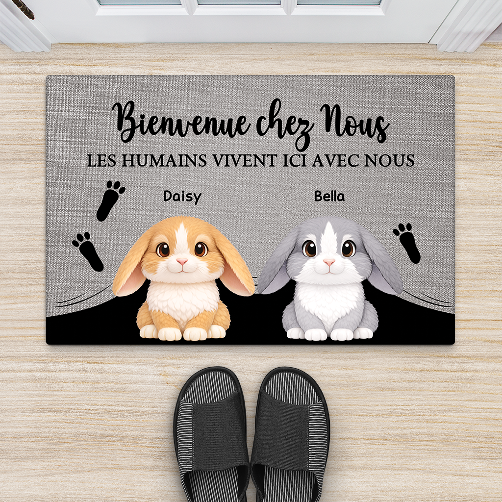 8143DFR2 paillasson personnalise lapin cadeau bienvenue chez moi 8143dak5i