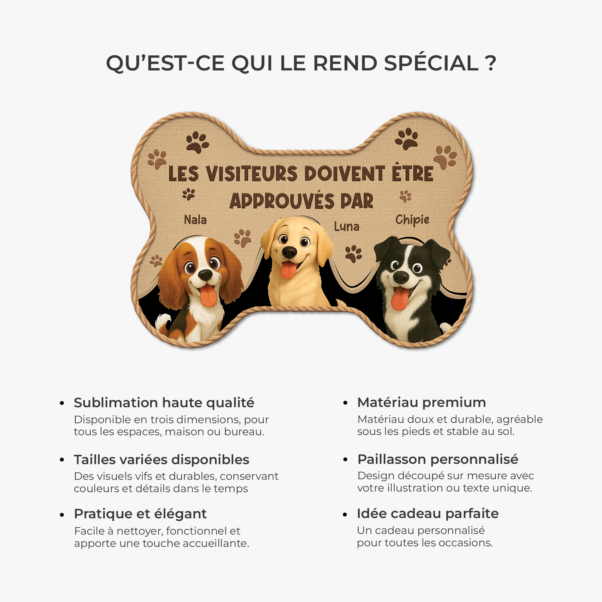 8546AFR6 visiteurs approuves par chiens paillasson chien personnalise a forme originale 8546ad8ezc