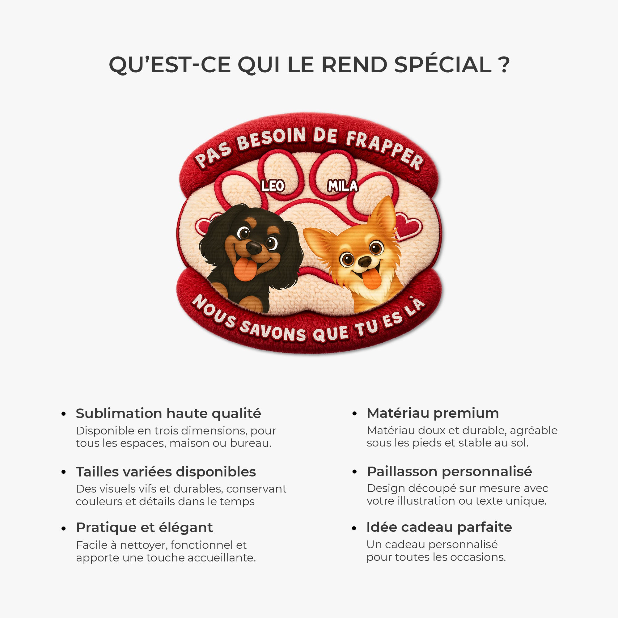 8564AFR1 pas besoin de frapper paillasson personnalise chien a forme decoupee 8564adavwc_5