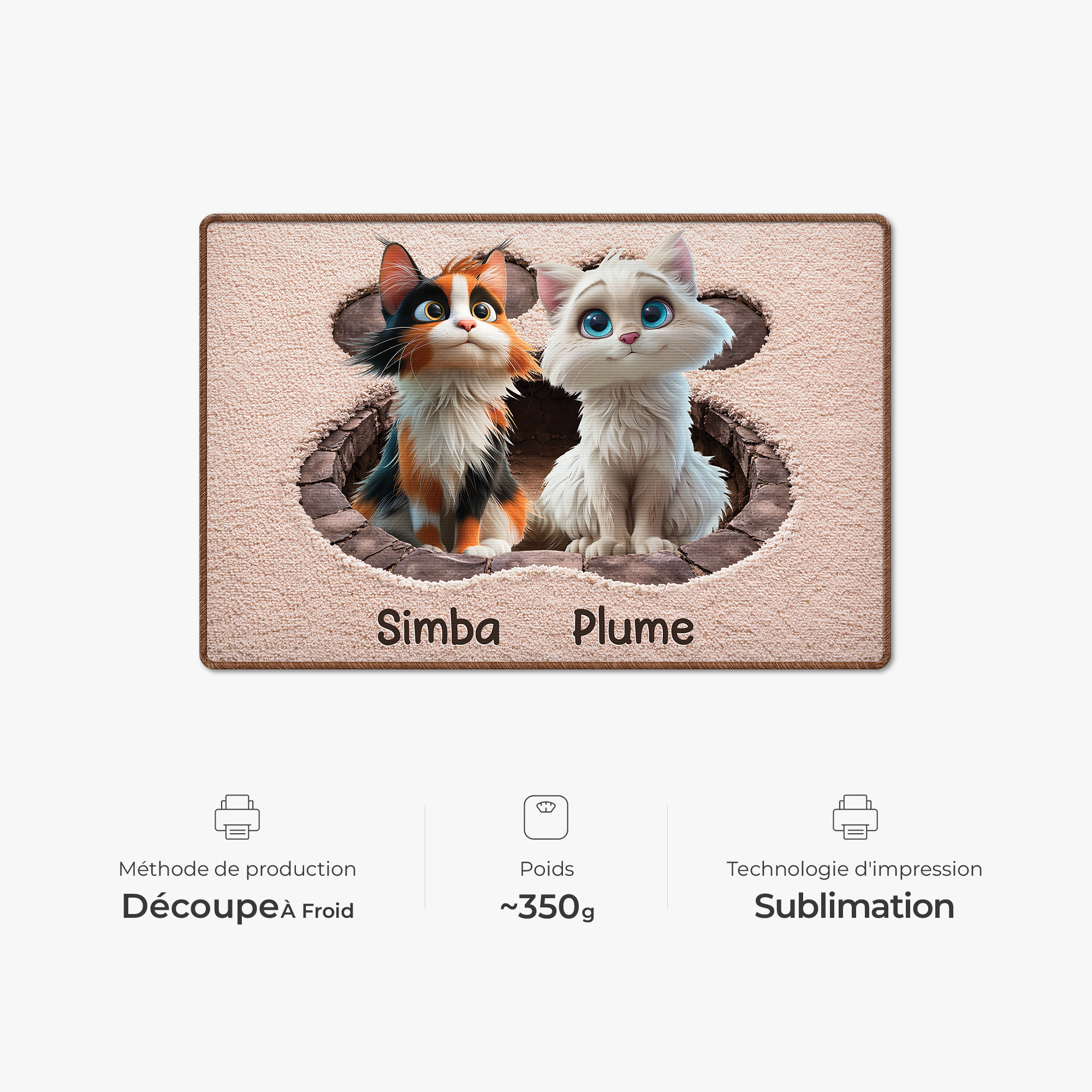 8565AFR4 effet dimpression 3d patte de chat paillasson personnalise chat a forme decoupee 8565adsfnd
