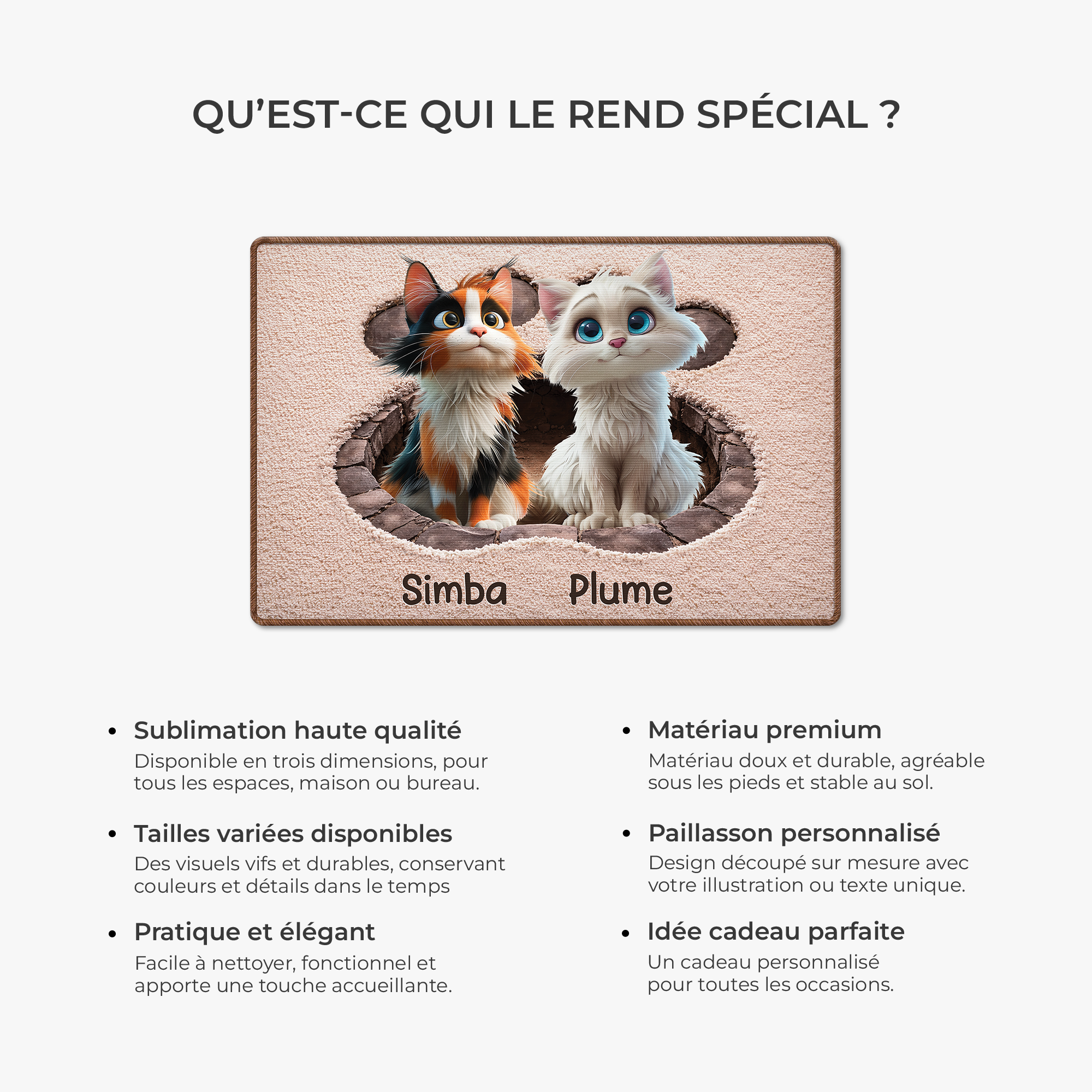 8565AFR6 effet dimpression 3d patte de chat paillasson personnalise chat a forme decoupee 8565adsfnd