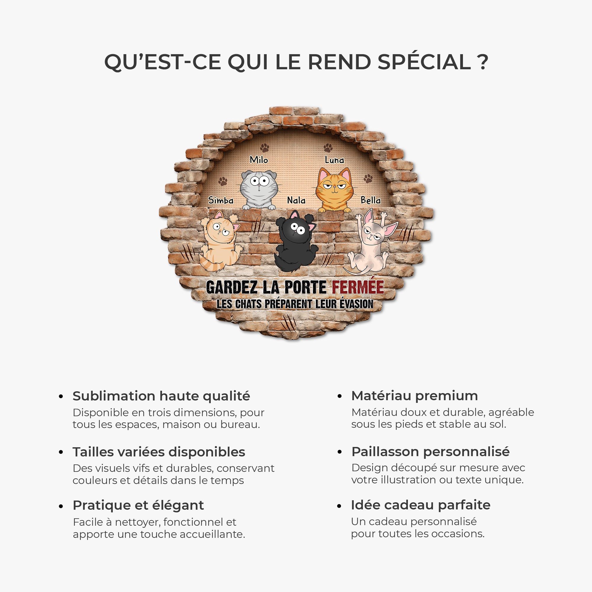 8567AFR6 effet dimpression 3d paillasson personnalise chat a forme decoupee chat prepare son evasion 8567adsmd_f24d1774 ad76 4bbf acf4 bda6d73c7f6e