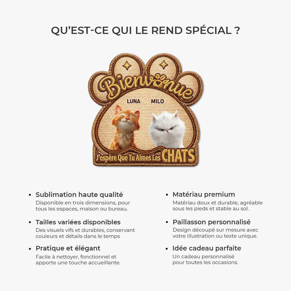 8568AFR6 effet dimpression 3d paillasson personnalise chat a forme originale aimer les chats 8568adshld