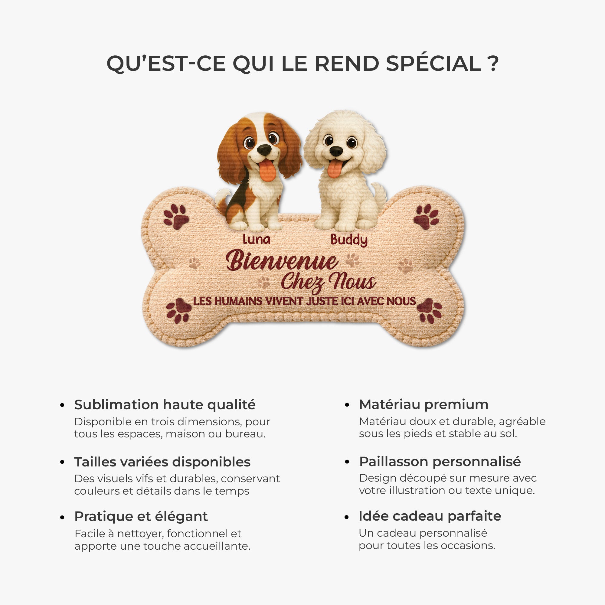 8579AFR6 bienvenue chez moi paillasson chien personnalise a forme decoupee 8579ad6pcc