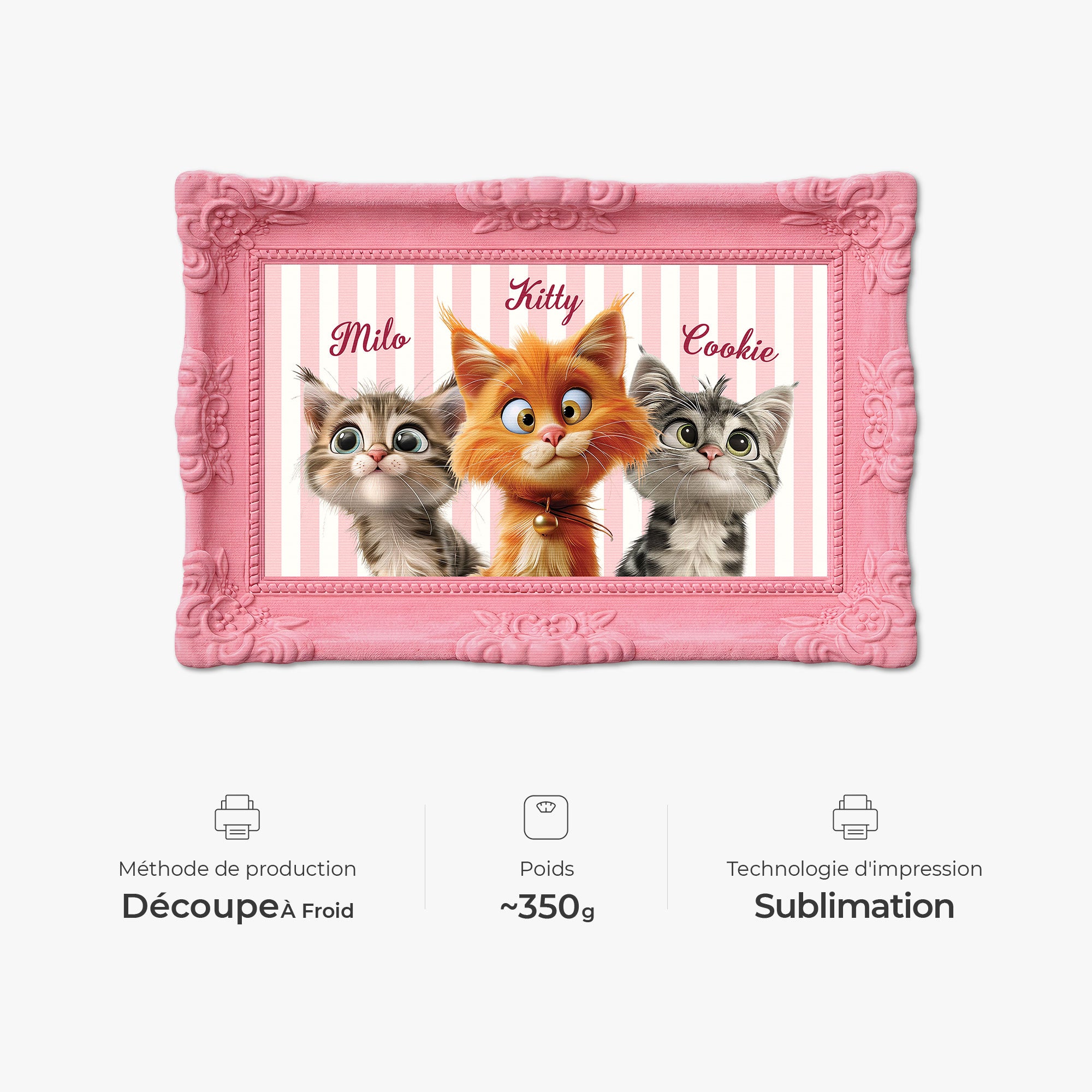 8596AFR4 effet dimpression 3d paillasson chat personnalise a forme originale photo de mon chat 8596adckld