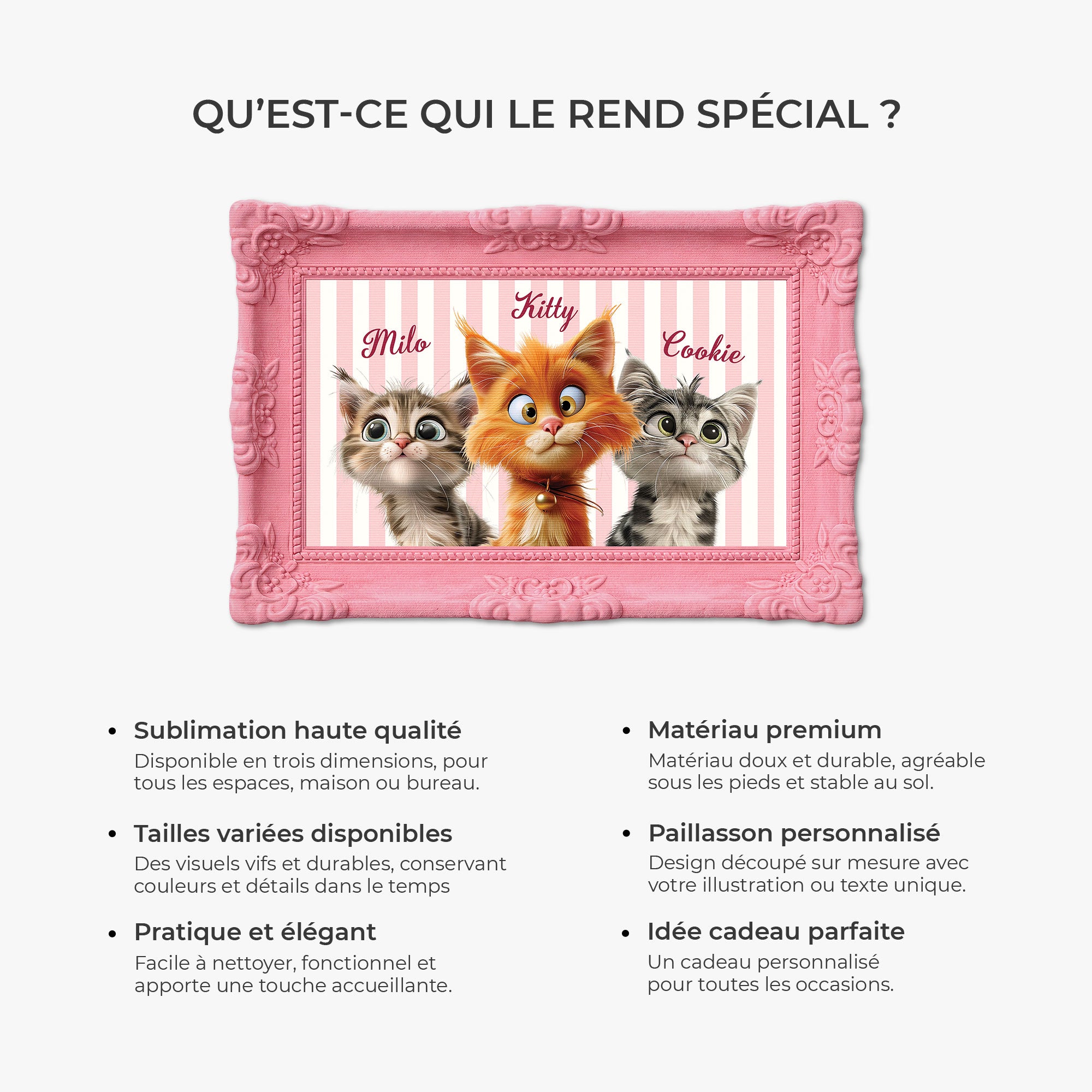 8596AFR6 effet dimpression 3d paillasson chat personnalise a forme originale photo de mon chat 8596adckld