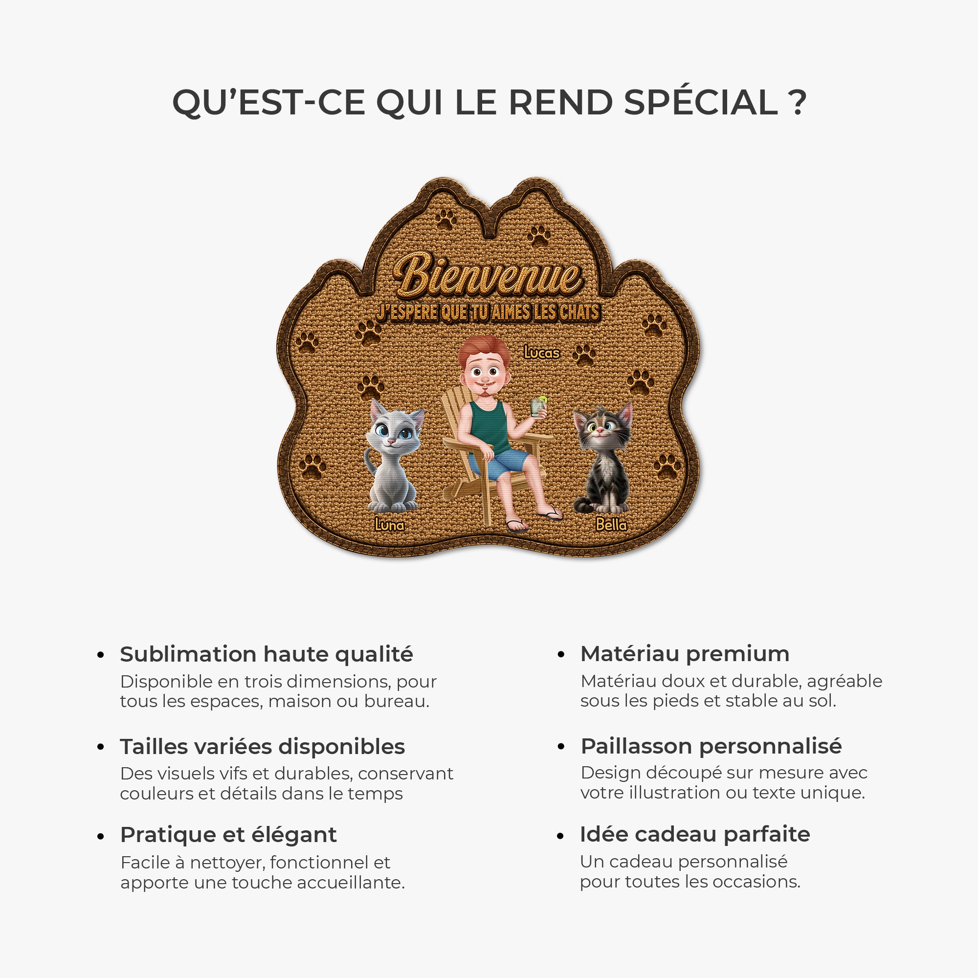 8616AFR6 esperer que tu aimes les poils paillasson personnalise chat a forme originale 8616adayrd