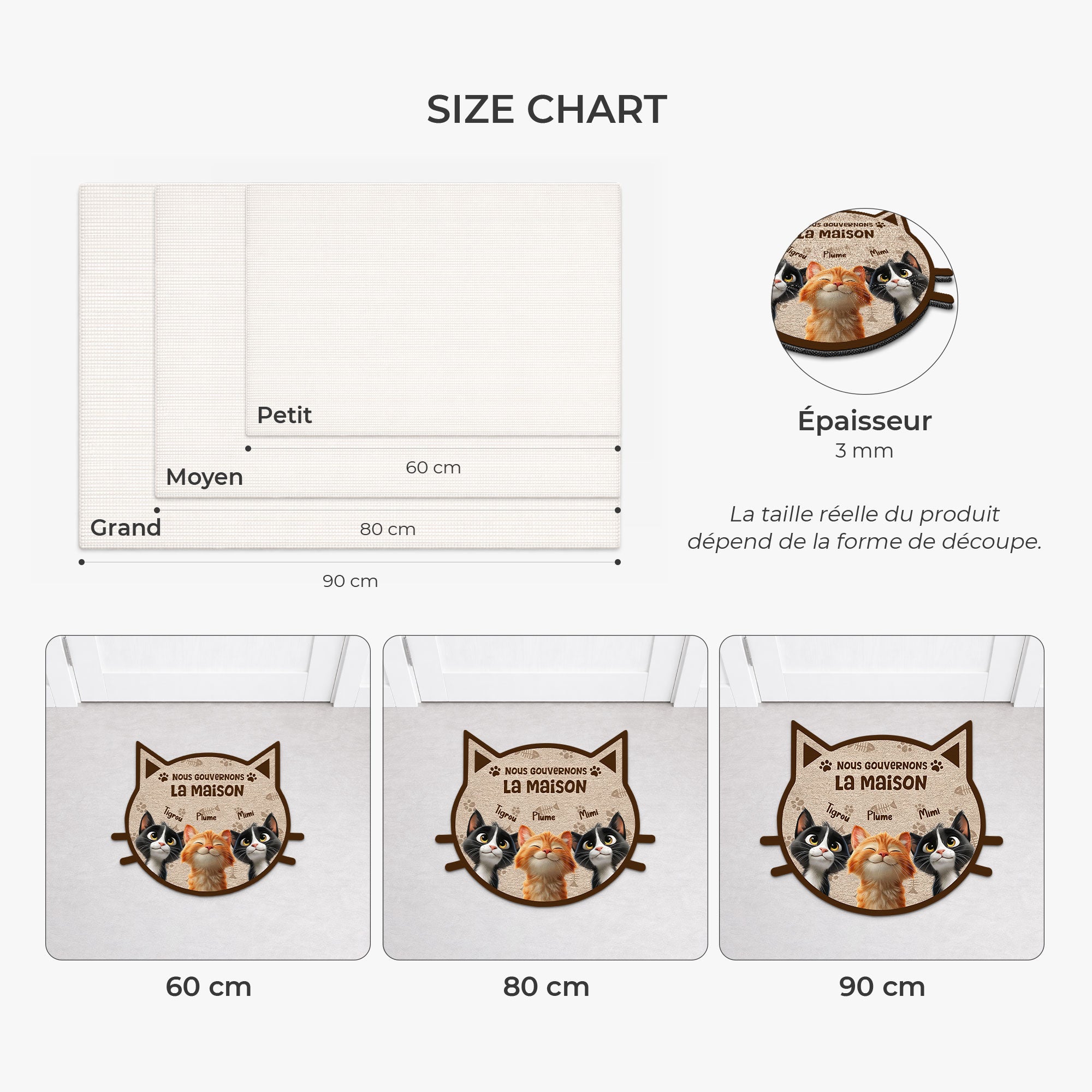 8626AFR3 nous gouvernons la maison paillasson chat personnalise a forme originale 8626ad8yrd
