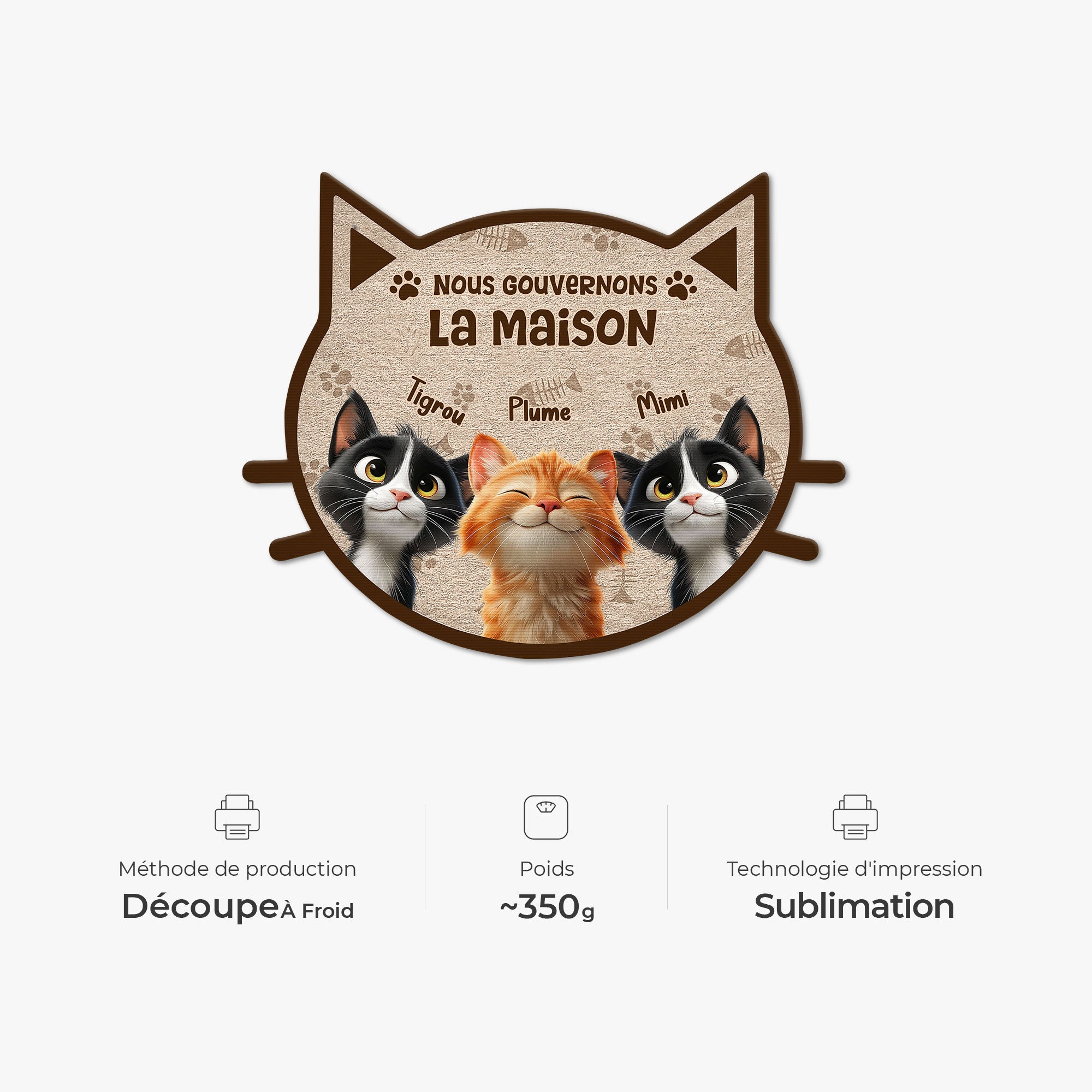 8626AFR4 nous gouvernons la maison paillasson chat personnalise a forme originale 8626ad8yrd