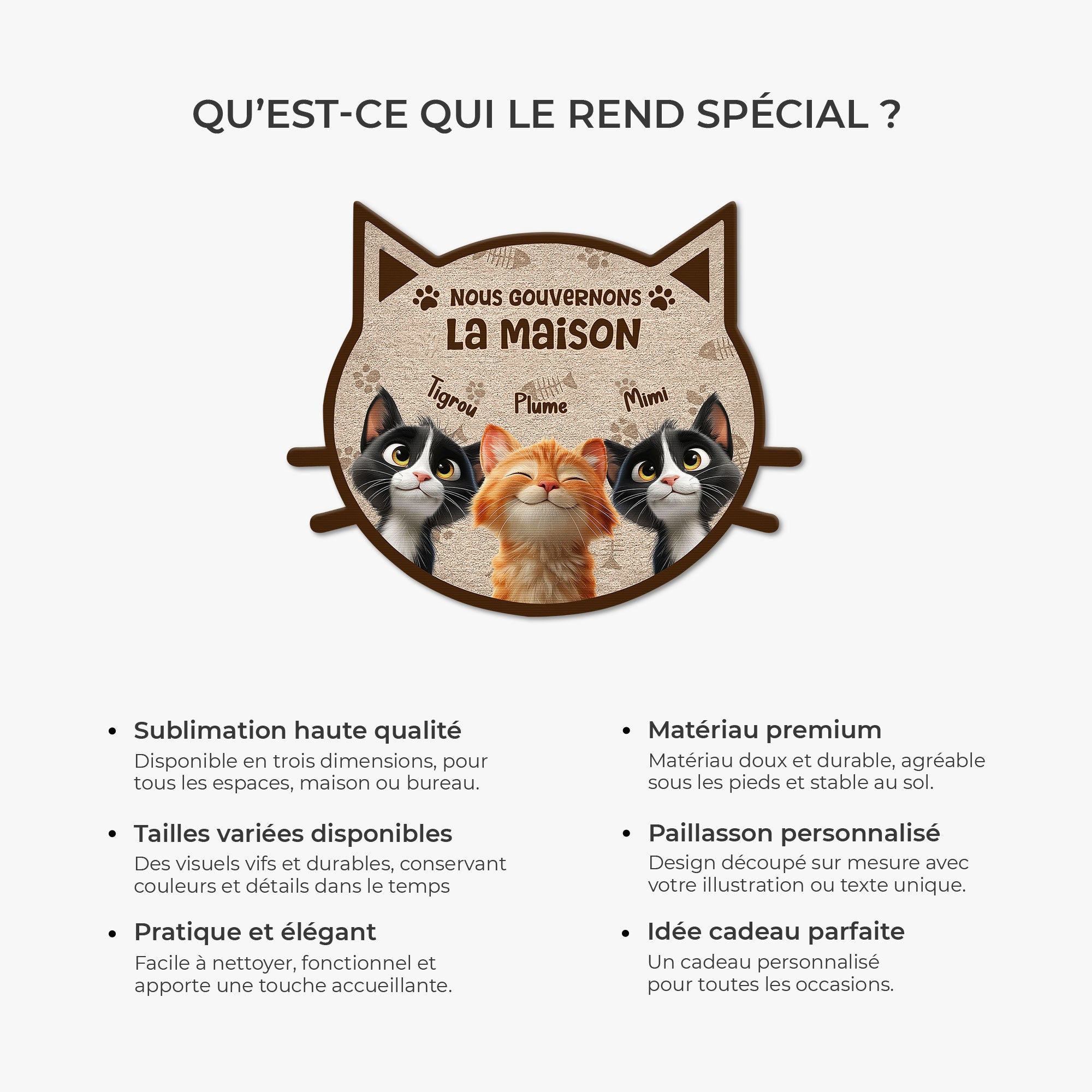 8626AFR6 nous gouvernons la maison paillasson chat personnalise a forme originale 8626ad8yrd