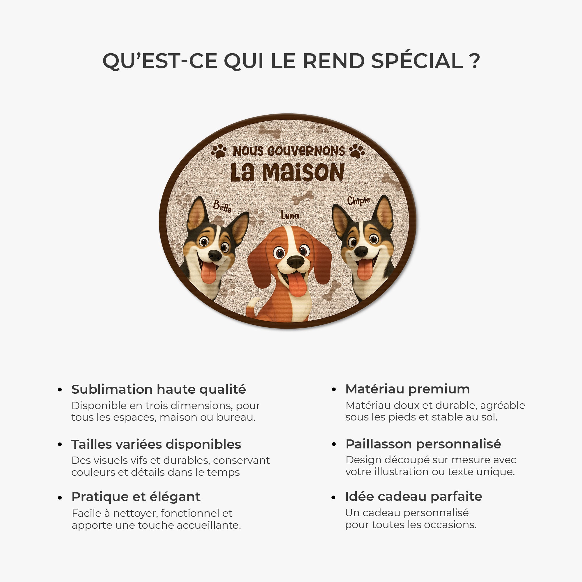 8626AFR6 nous gouvernons la maison paillasson chien personnalise a forme originale 8626ad8yrc