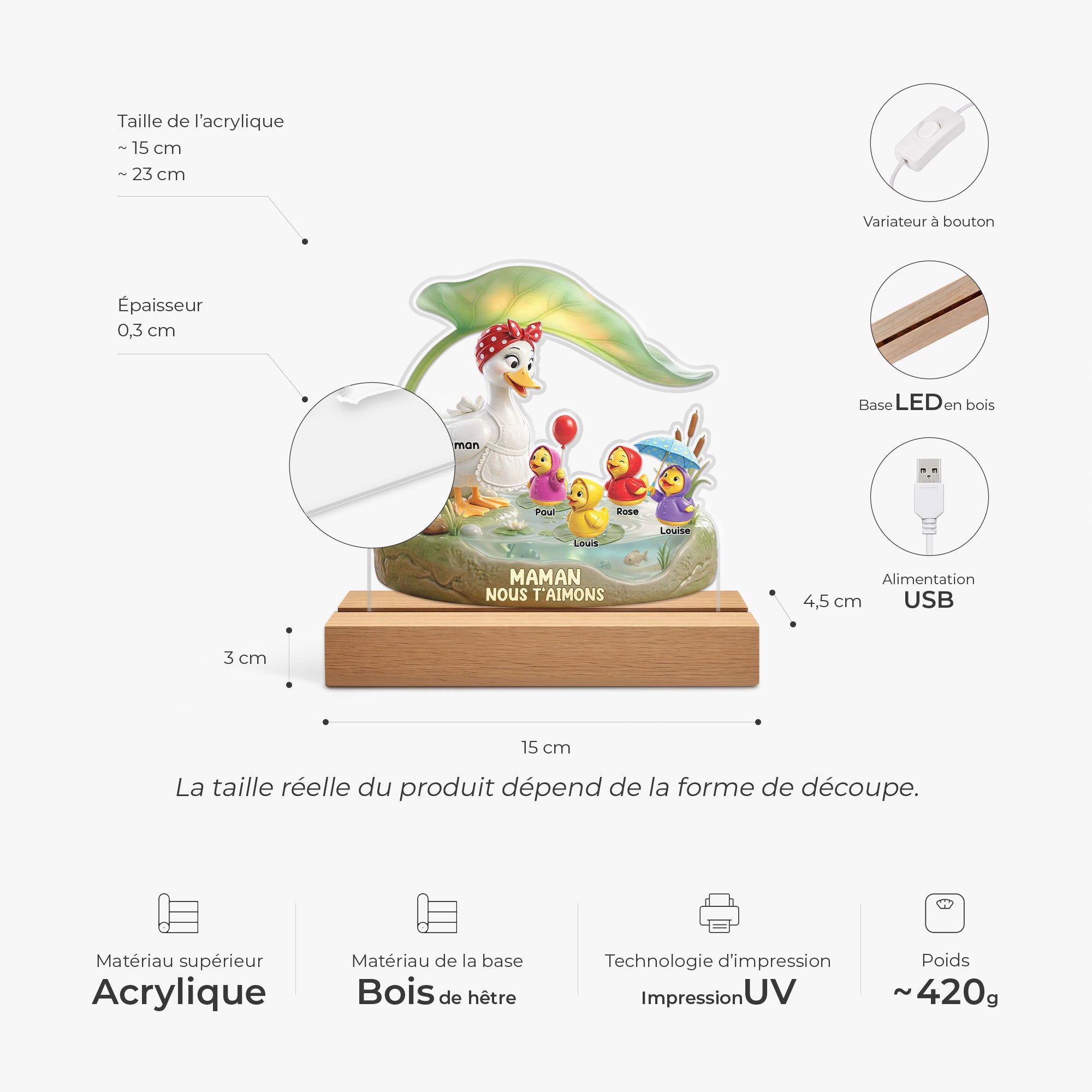 8675LFR3 effet dimpression 3d veilleuse led personnalisee on taime maman mamie cane 8675lcyra