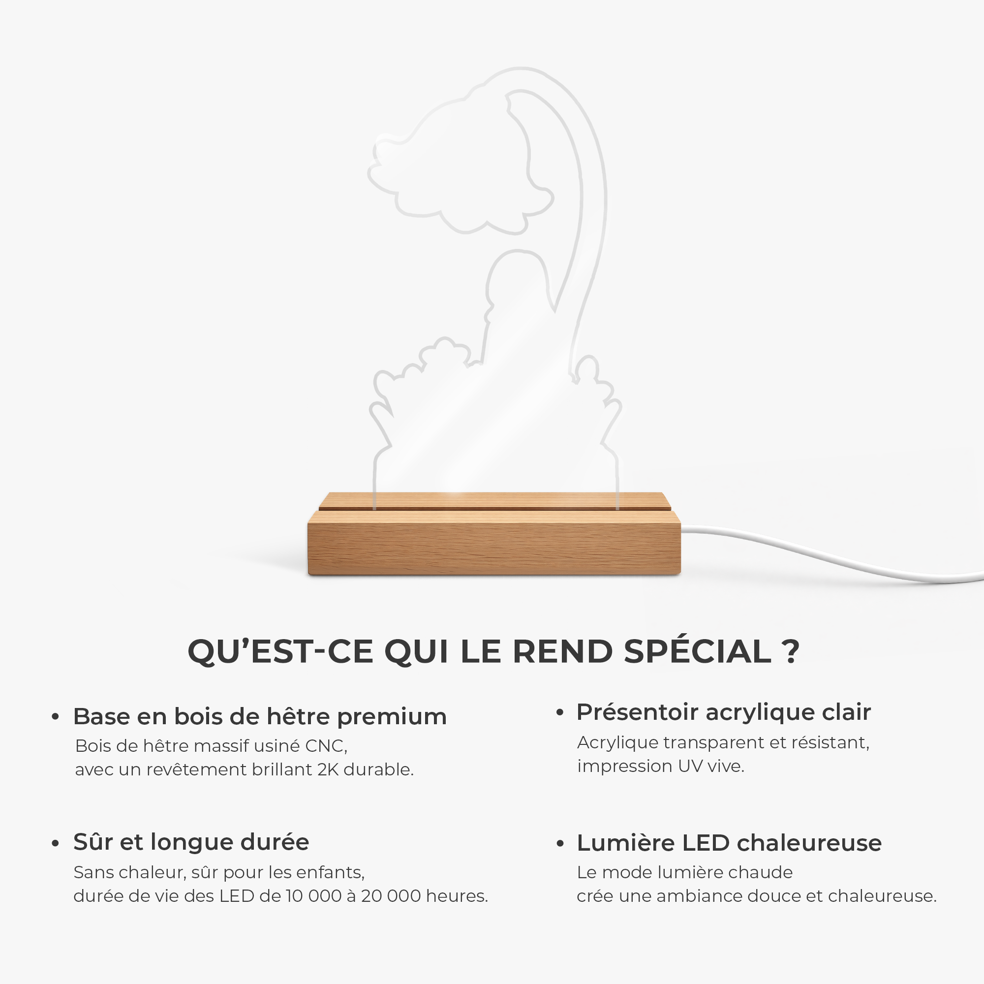 8725LFR4 effet dimpression 3d veilleuse personnalisee prenom et dessin cadeau original pour femme avec fleur 8725lacna