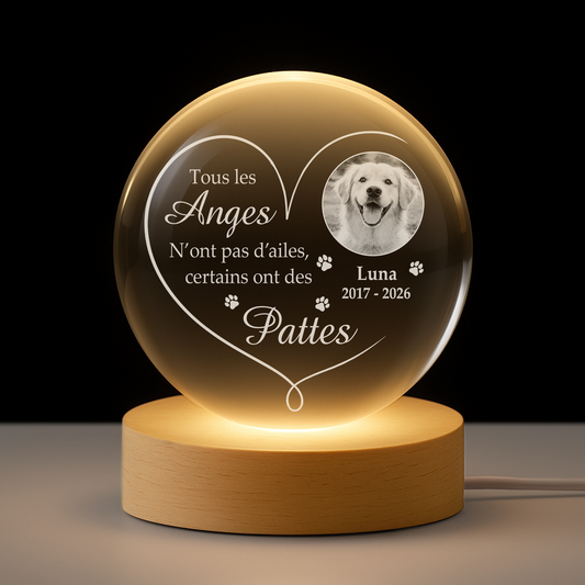 9127LFR1 tous les anges nont pas dailes boule cristal lumineuse personnalisee photo commemorative chienchat 9127l3fpc_2b5bb70e 3b85 45ff 8c8d 3374b71cbd84