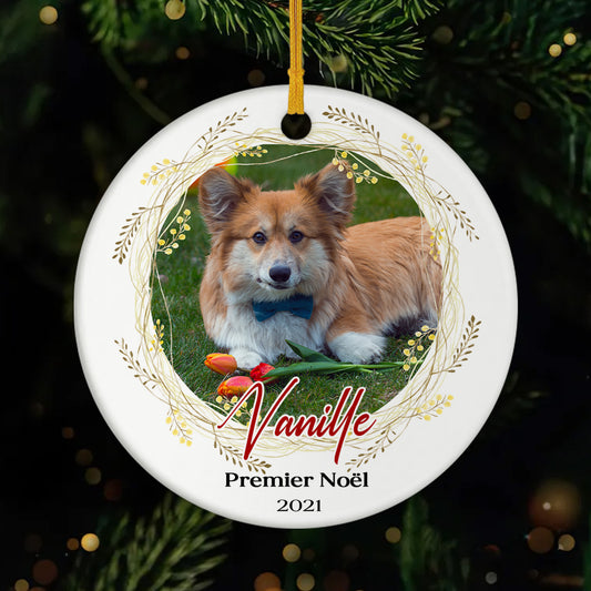 FR1_4e9d6f57 5777 4bb4 b9d5 72fb741d3fc8