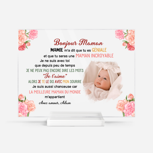 FR1_9886bd5b 9681 4372 ad25 4b0232ff3aca