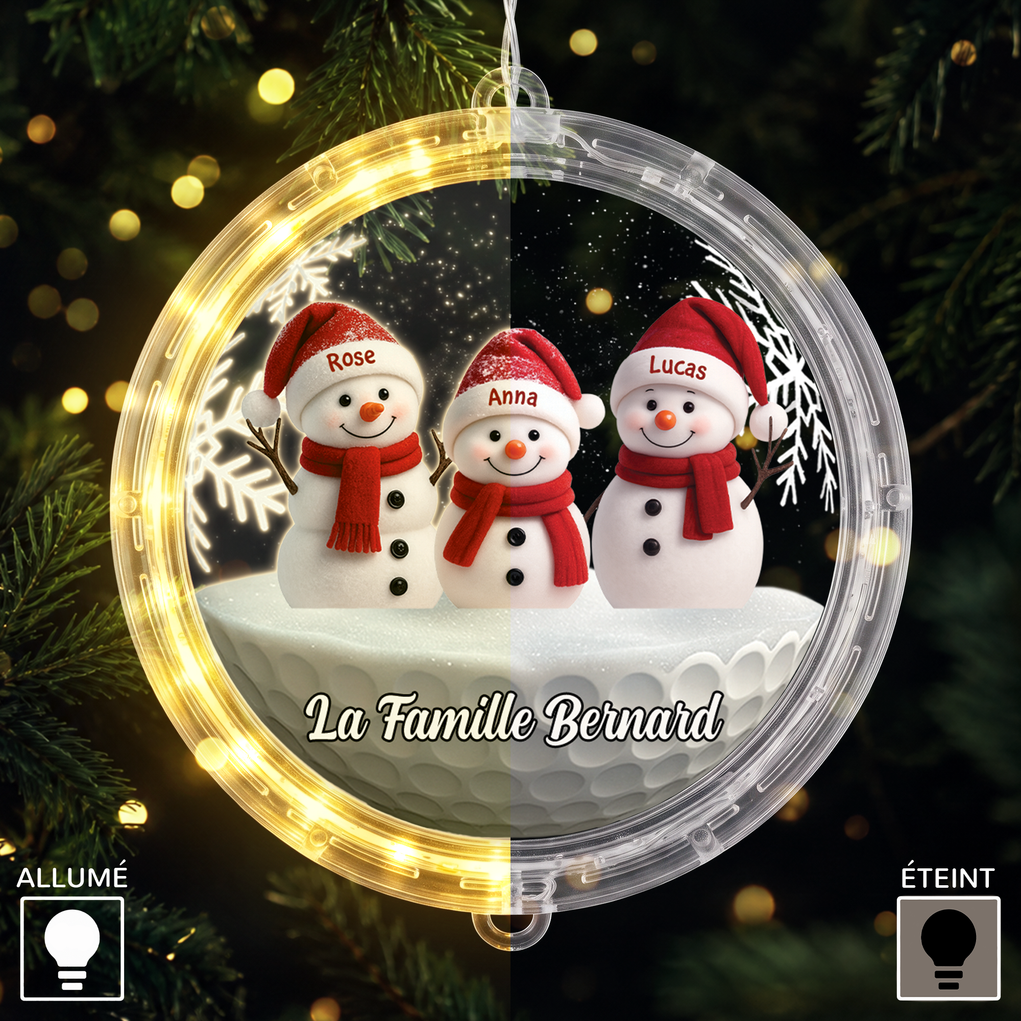 FR2_2f1c733c f201 4796 83ee a573e2302a00