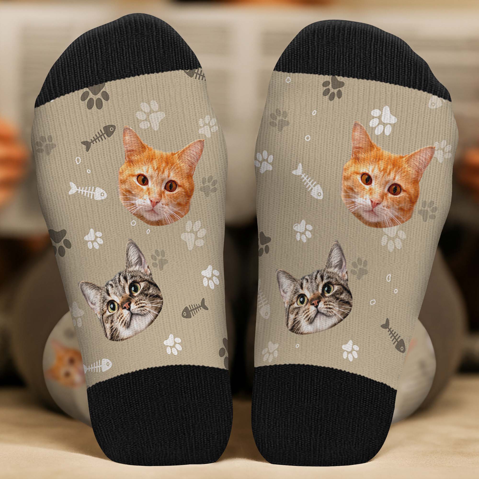 FR2_904a3ca7 4090 4eae 9516 379606805e58