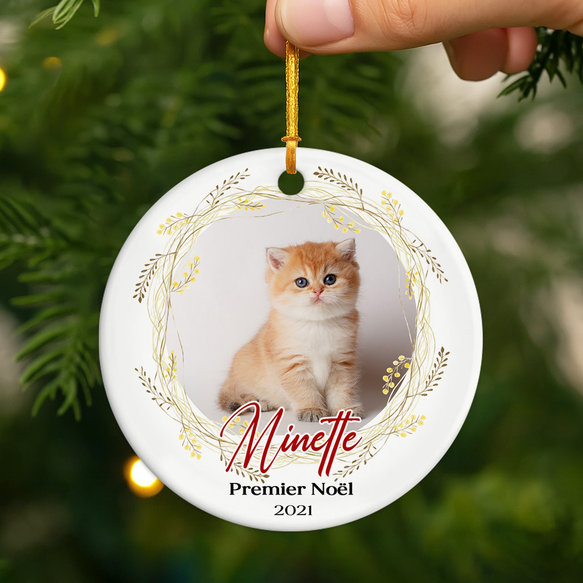 FR2_a3859686 6864 4483 b67e 686922bd2afb