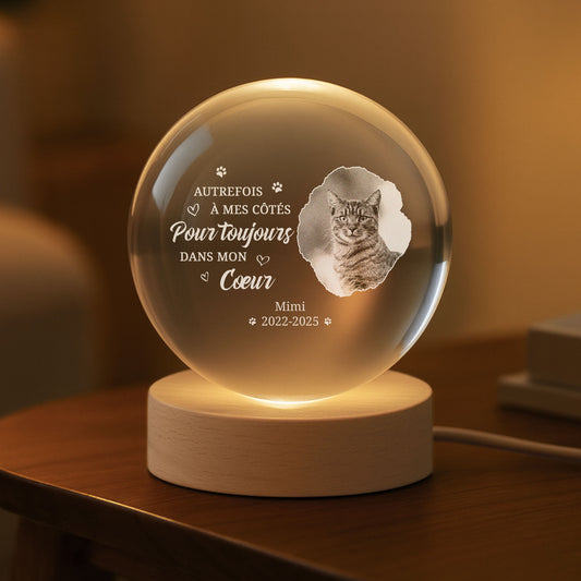 FR2_c3a1821e baf0 49b2 bac8 b18875629df9