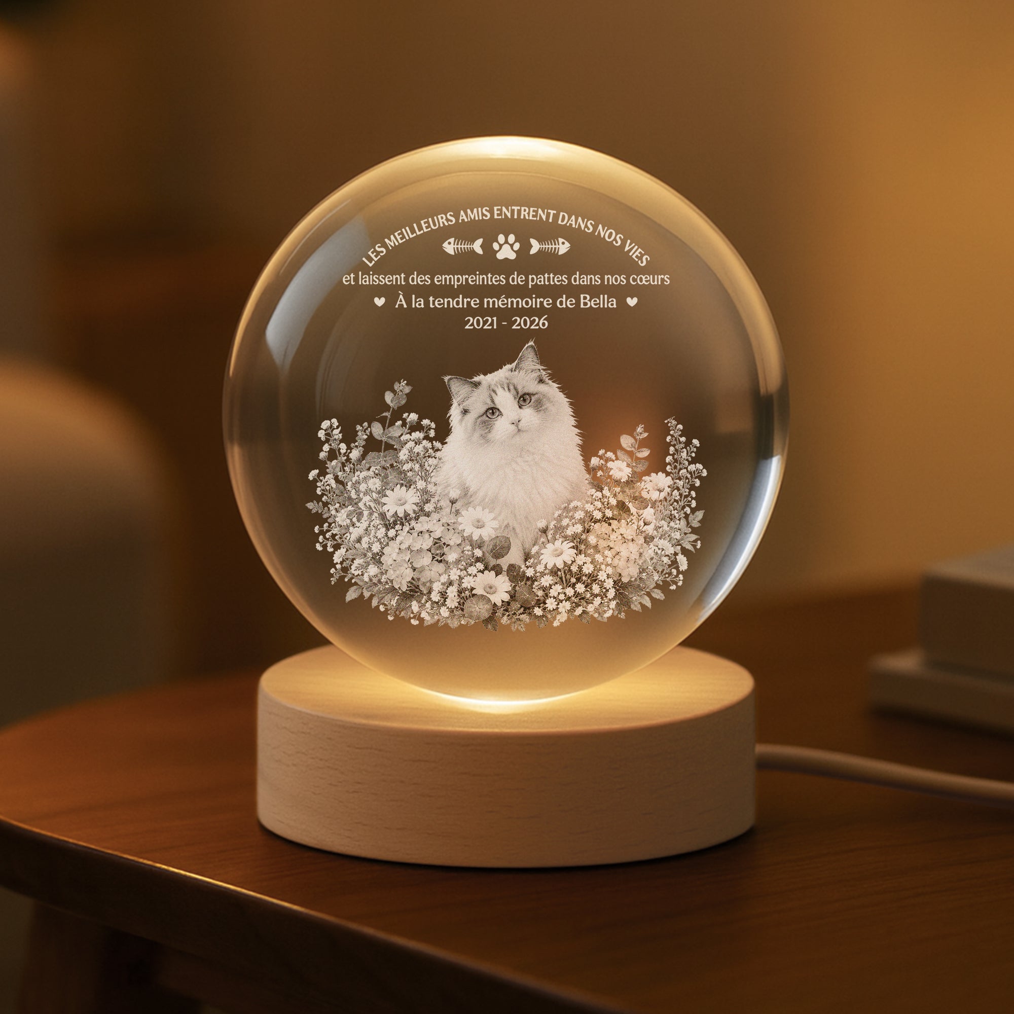 FR2_f147c206 845b 4770 a6c5 39533bba2a4a