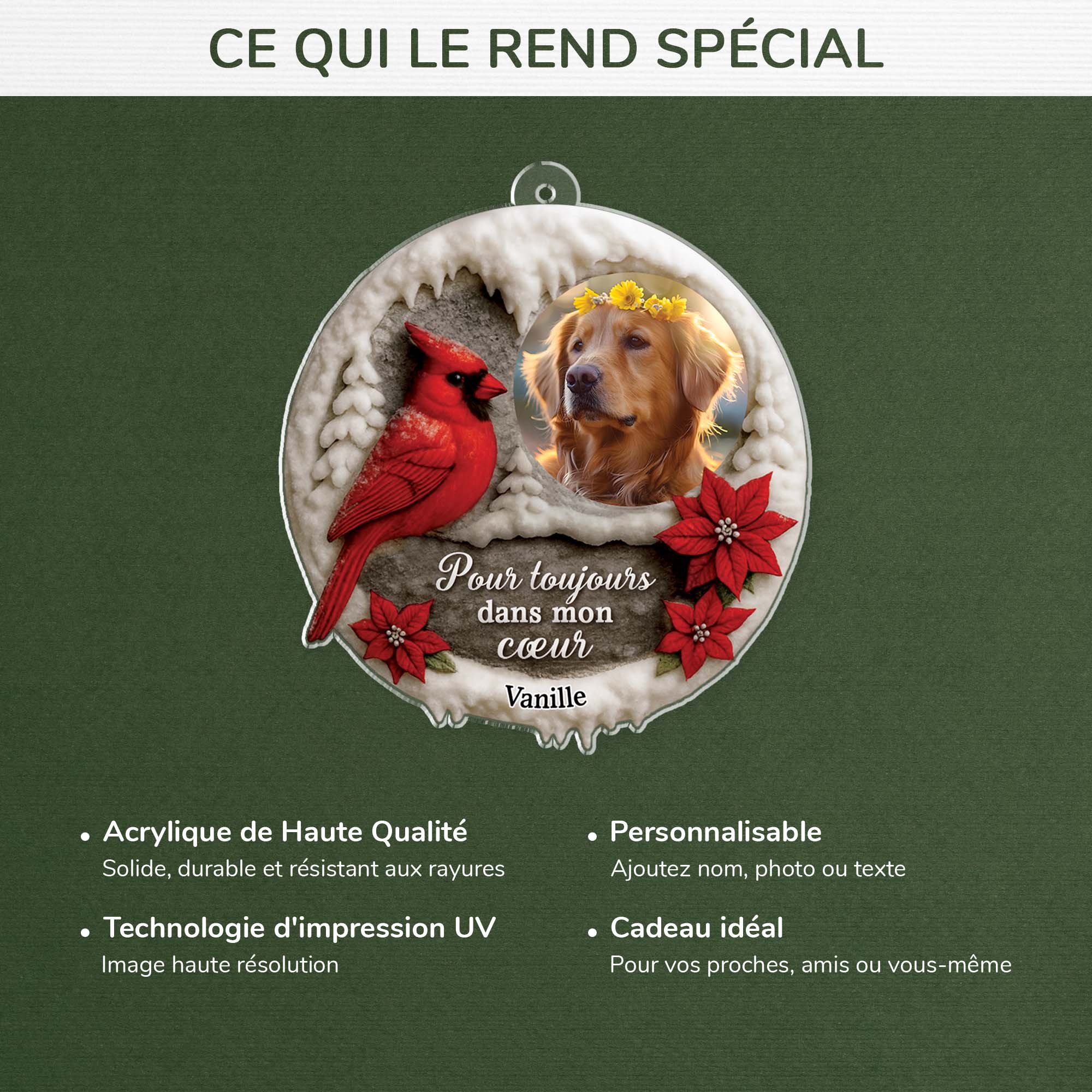 FR4_3e06dad2 588c 4580 84e6 a9808ceafbd8