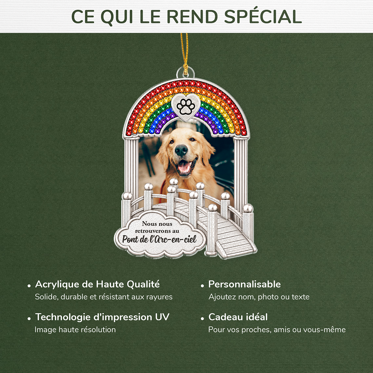FR4_ff4bd380 8123 420f be11 9dec050c0f6f