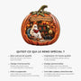 FR6