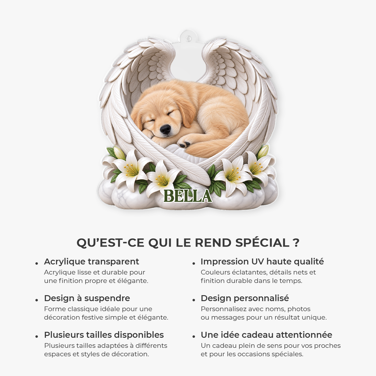 FR6_db956e12 a7a5 4247 8542 5afac133074d
