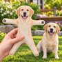 LabradorRetriever_8e5cb020 189e 47b0 a0b4 f8f971405afe
