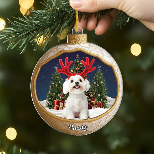 MK2ALL_329aca39 44cd 4664 abbc 891bd0ea7379