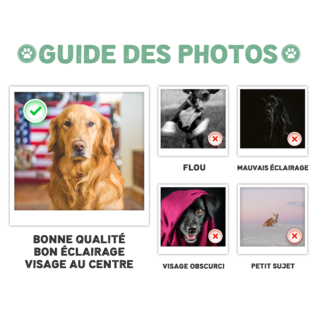 PHOTOGUIDELINECHOPHAP_a6b42753 26ce 4f58 abad 7e19b6a9fb83