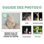 PHOTOGUIDELINEMEOPHAP_46b42709 284b 49f3 9f4e 967660f7035e