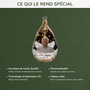 fr4_141827d9 1969 4cc5 b9ff 588e0d414822