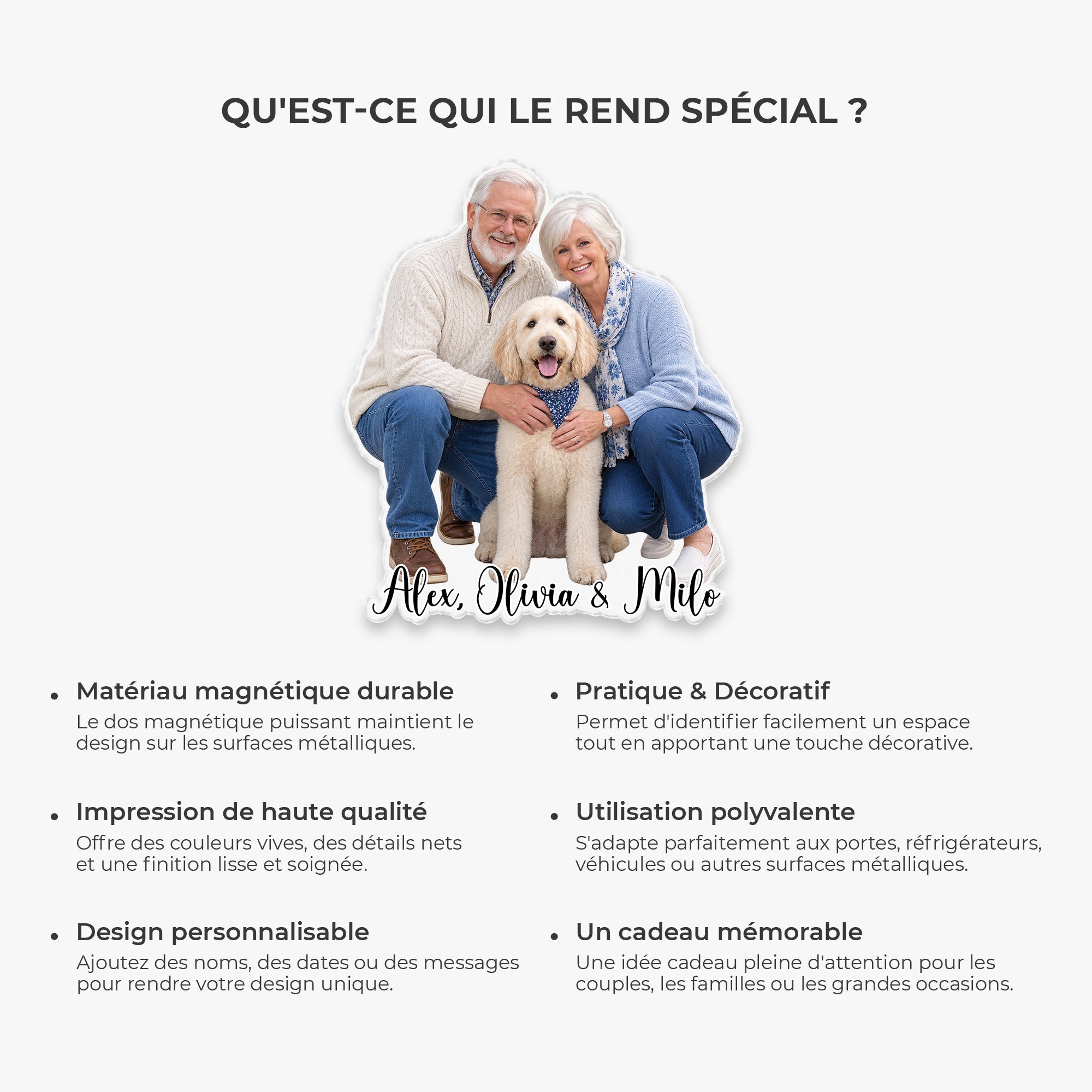 fr6_c1309310 0707 454d bd36 d7b532405e99