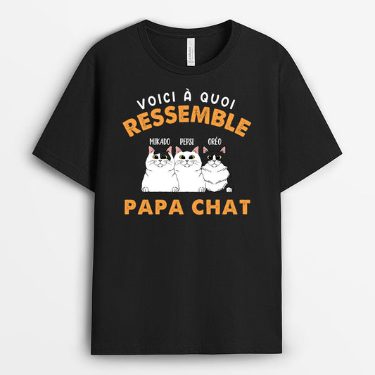 0146ADFR1 present Personnalise T shirt chats papa