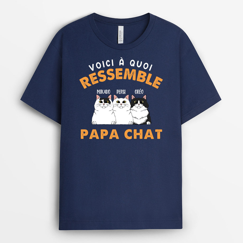 0146ADFR2 present Personnalise T shirt chats papa