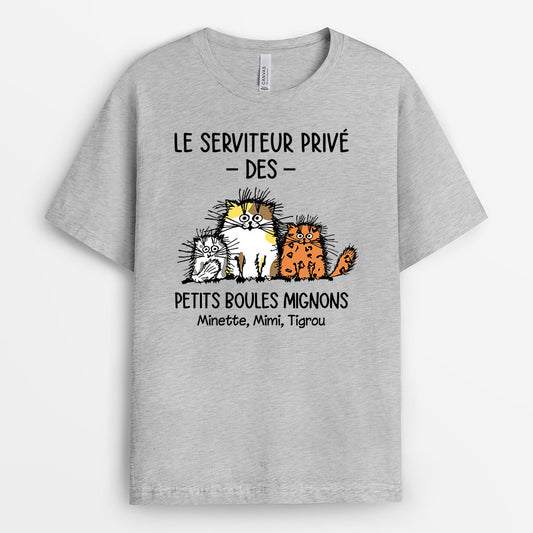 0307A250DFR1 cadeau Personnalise T shirt chats personnes