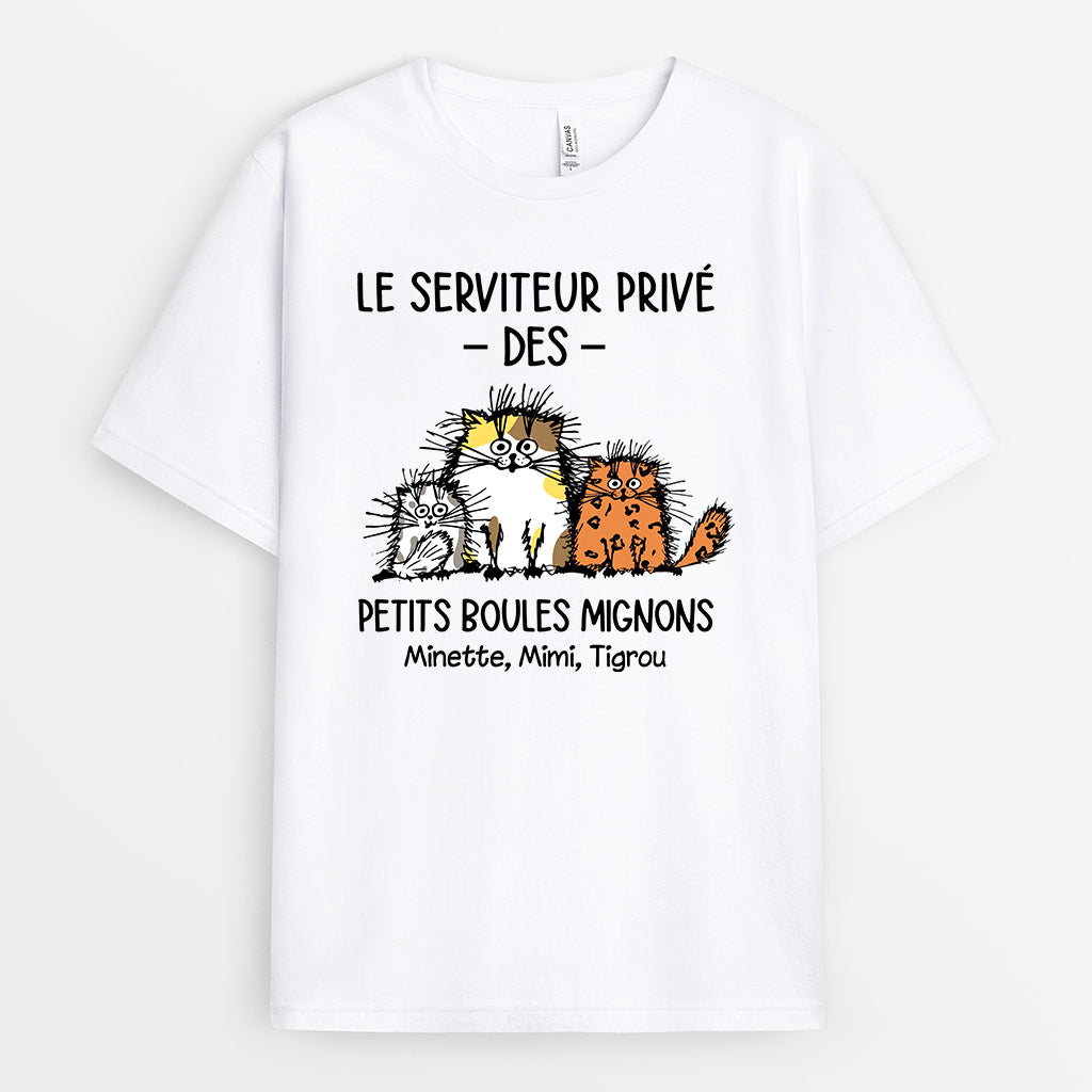 0307A250DFR2 present personnalisable T shirt chats personnes
