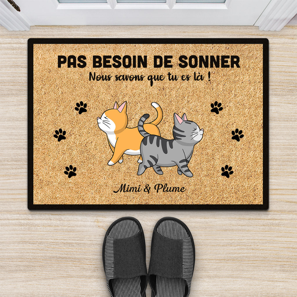 0409D268DFR2 present personnalisable Paillassons chats