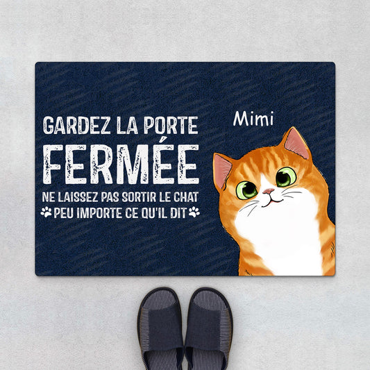 0764DFR1 Cadeau Personnalise Paillassons Chat Amoureux des Chats