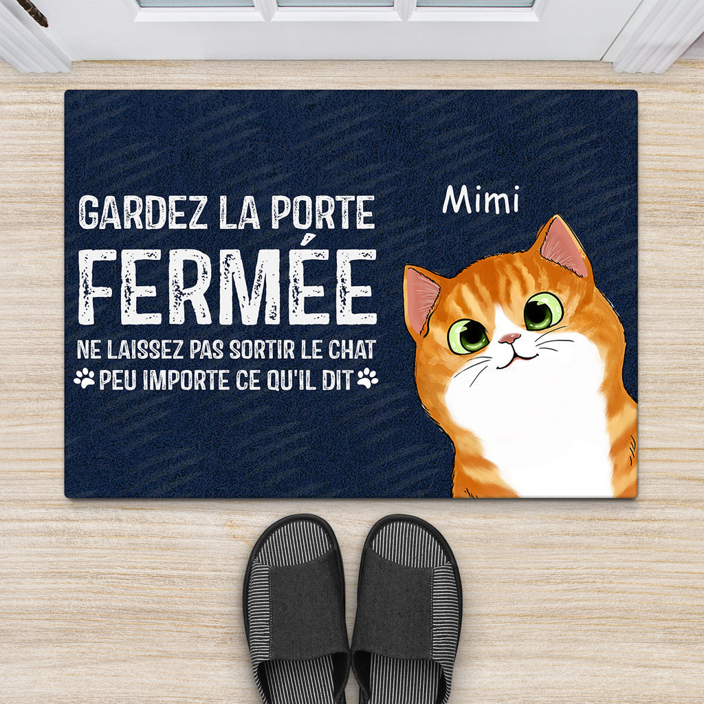 0764DFR2 Cadeau Personnalise Paillassons Chat Amoureux des Chats