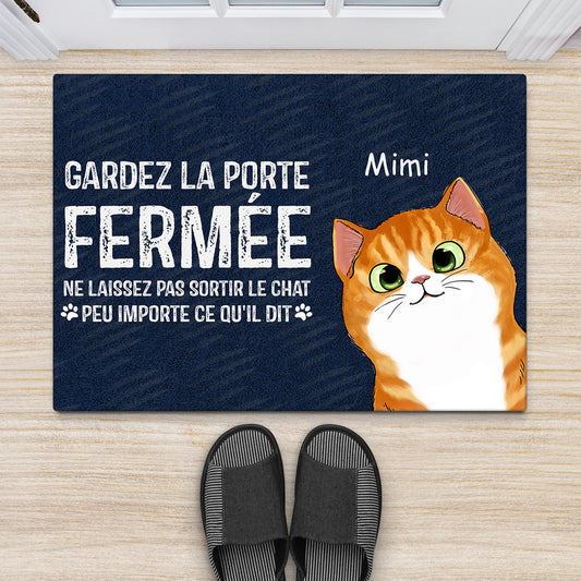 0764DFR2 Cadeau Personnalise Paillassons Chat Amoureux des Chats